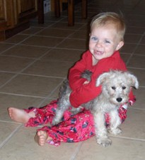 Hannah found another Schnoodle